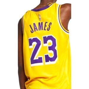 Nike Men's Los Angeles Lakers Lebron James Icon Edition Swingman Jersey Size Lar